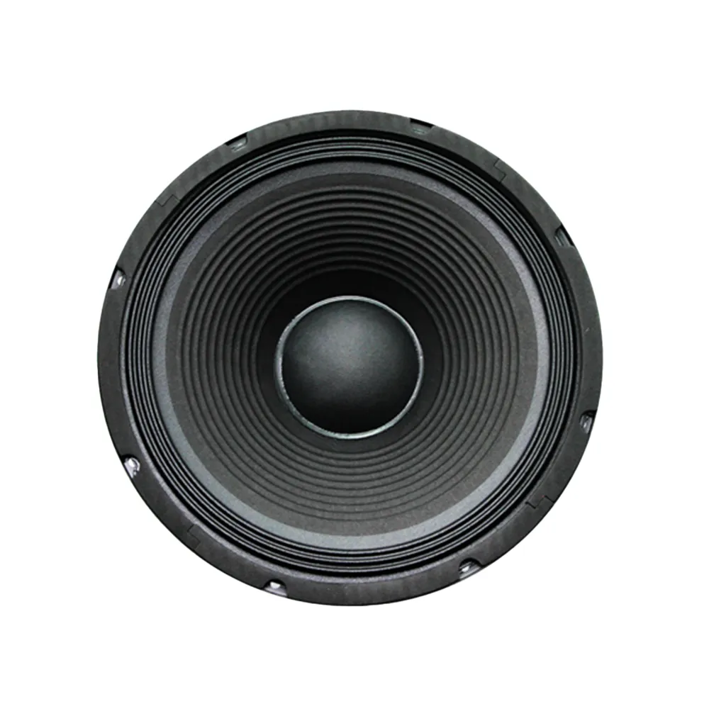 12" 250W Replacement Speaker [FTS 12F250]