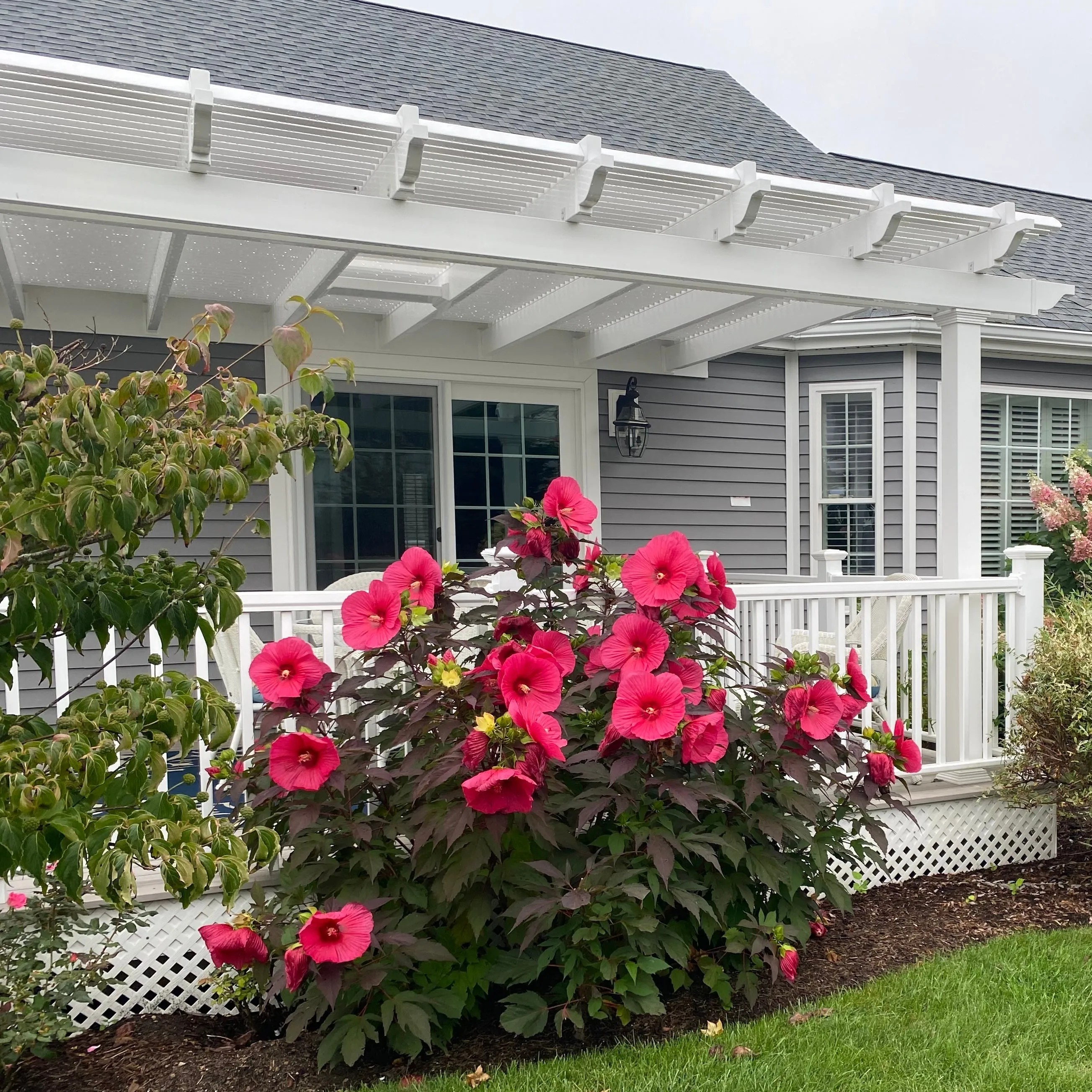 14' x 12' Wall-Mount Pergola Kit - Made in USA