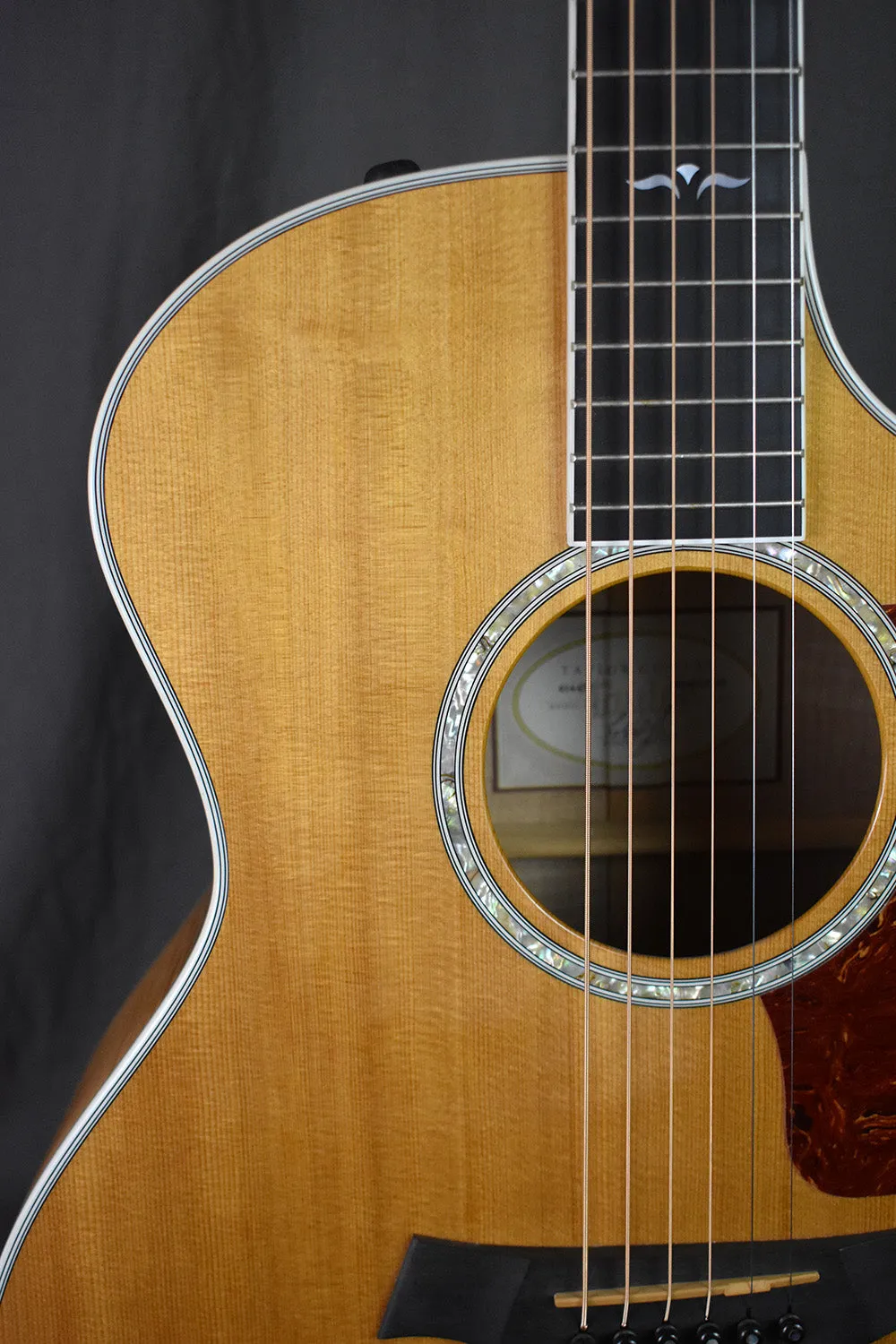 2003 Taylor 614ce Maple