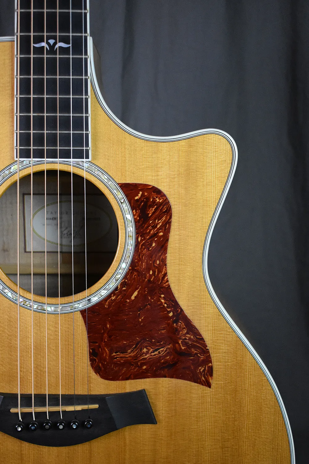 2003 Taylor 614ce Maple