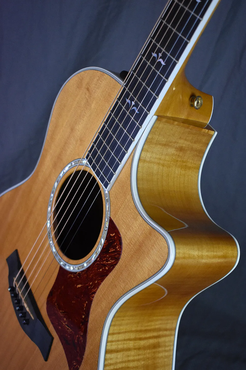 2003 Taylor 614ce Maple