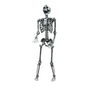 5' Light Up Skeleton