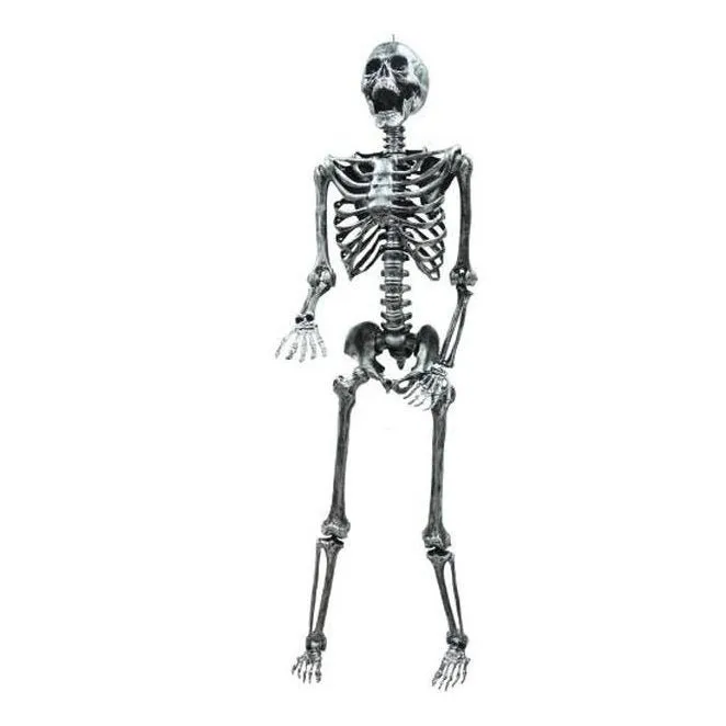 5' Light Up Skeleton
