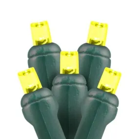 5mm LED Christmas Lights 35L Yellow