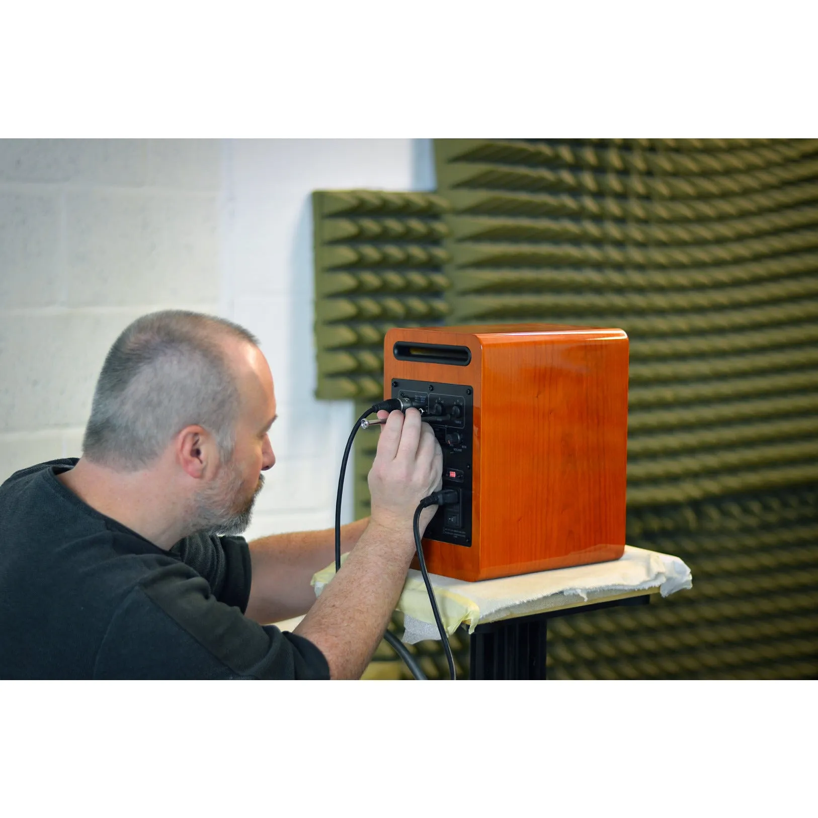 ACOUSTIC ENERGY AE1 Active Speakers (Open Box)