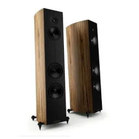 Acoustic Energy - Corinium - Flagship Floorstanding Speakers