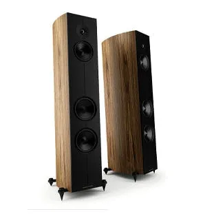 Acoustic Energy - Corinium - Flagship Floorstanding Speakers