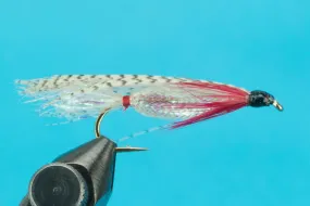 Alaskan Smolt