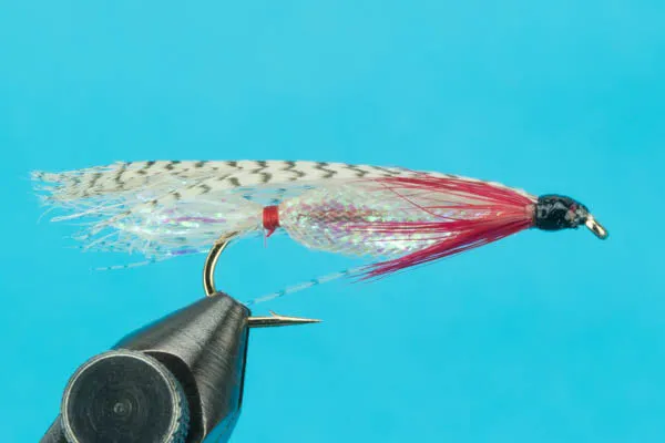Alaskan Smolt