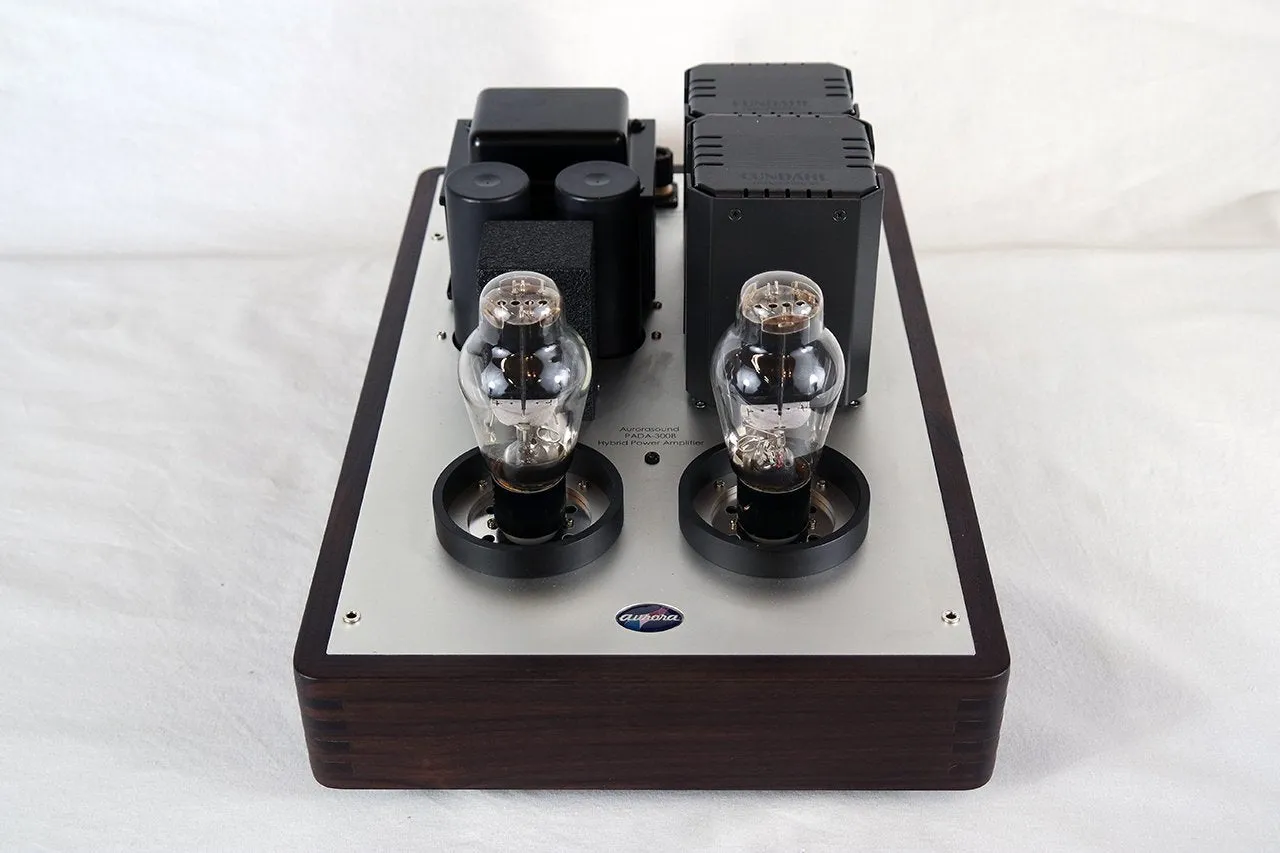 Aurorasound PADA-300B Mono Block Amplifiers