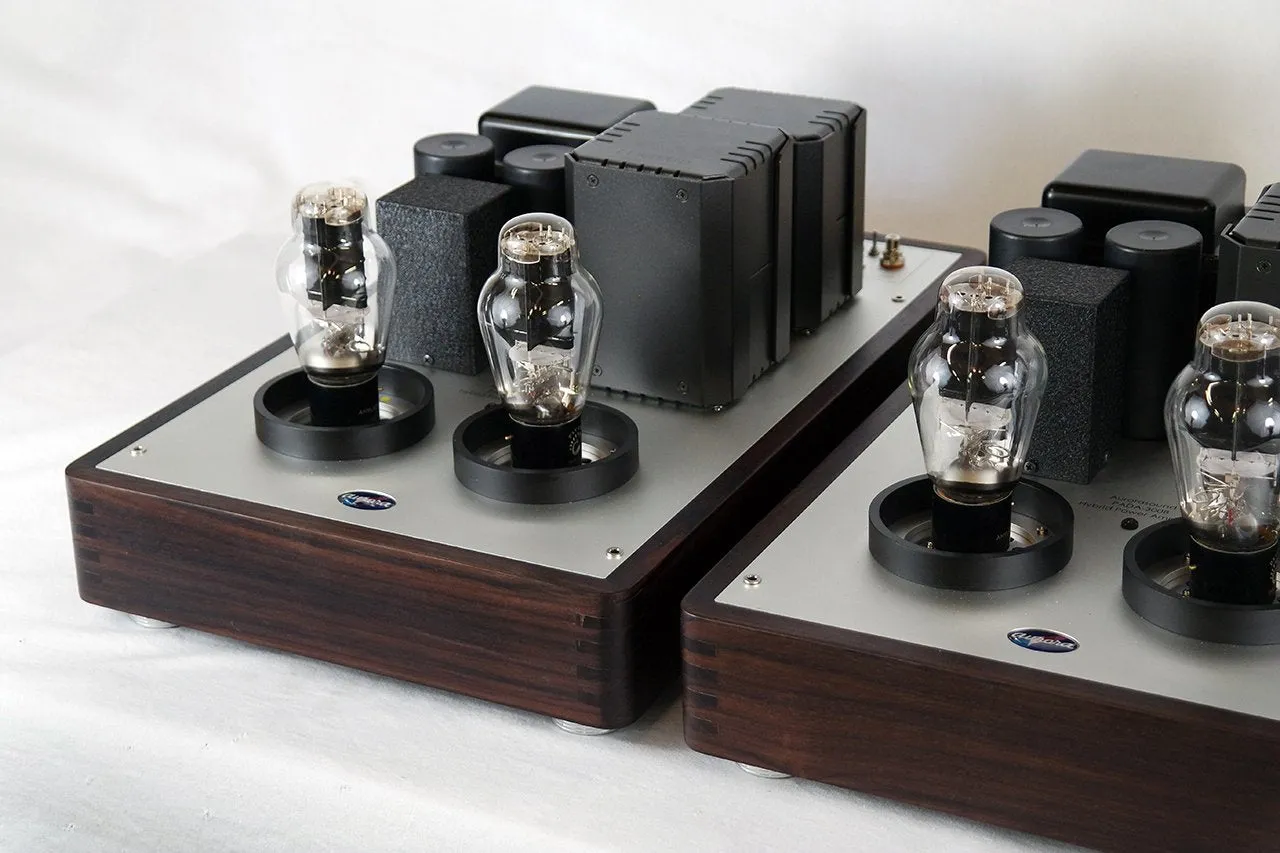 Aurorasound PADA-300B Mono Block Amplifiers