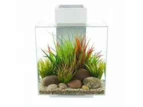 Fluval Edge 2.0 46L Aquarium Set - Gloss White