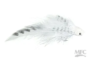 Galloup's Flat Head Kitty - White