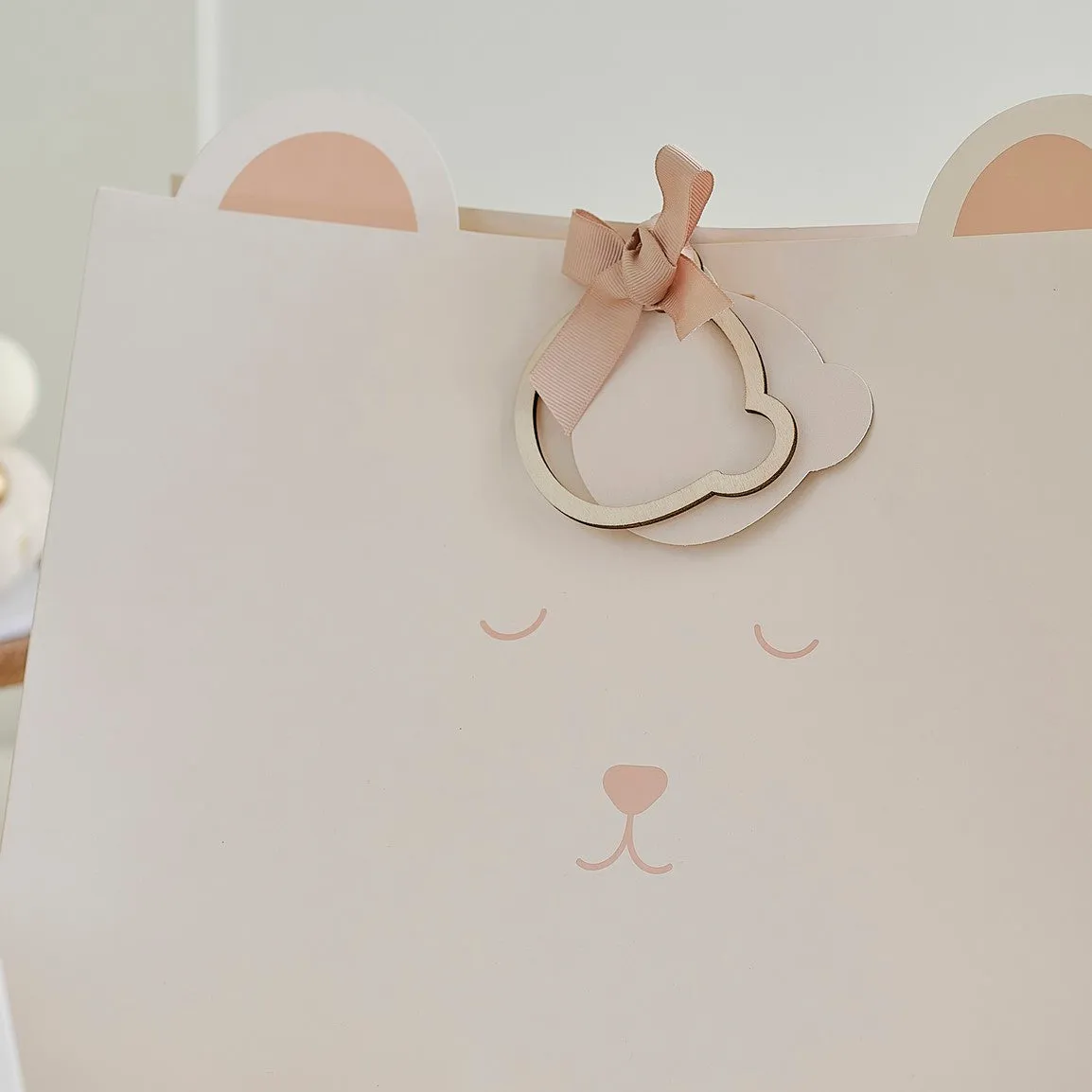 Ginger Ray Gift Bag - Teddy