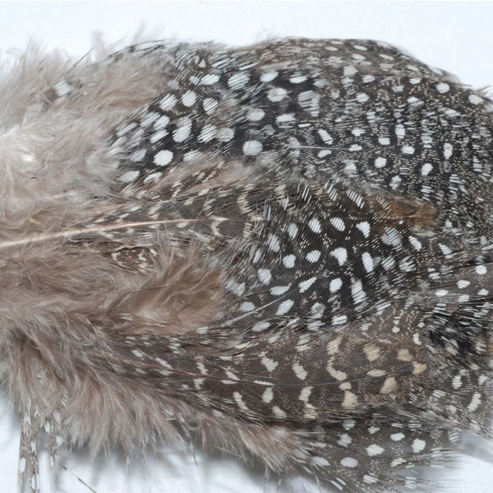 Guinea Plumage Natural Black/White pkg