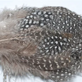 Guinea Plumage Natural Black/White pkg
