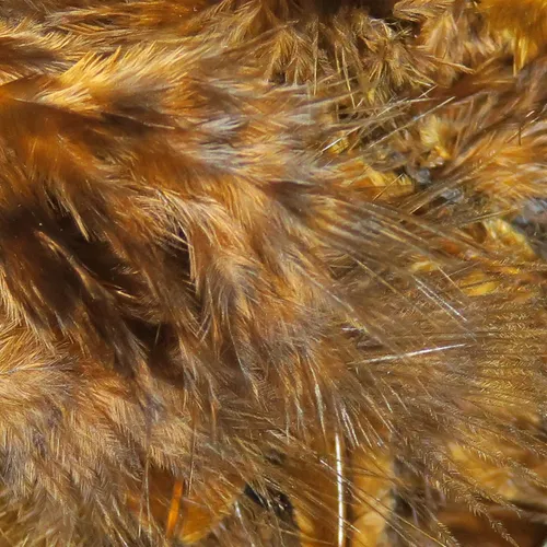 Hareline Grizzly Marabou