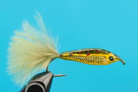 Janssen's Minnow--Brook trout