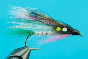 Little Rainbow Trout