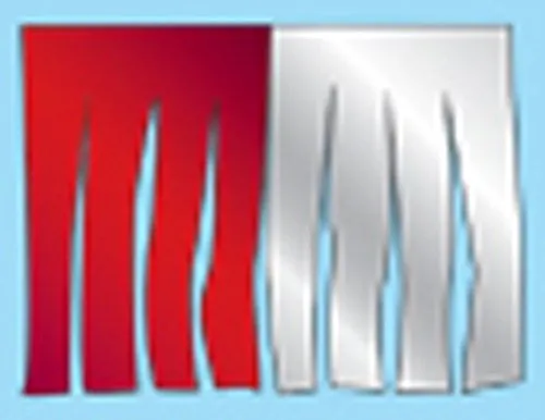 Metallic Starburst Fringe Pennants Streamers