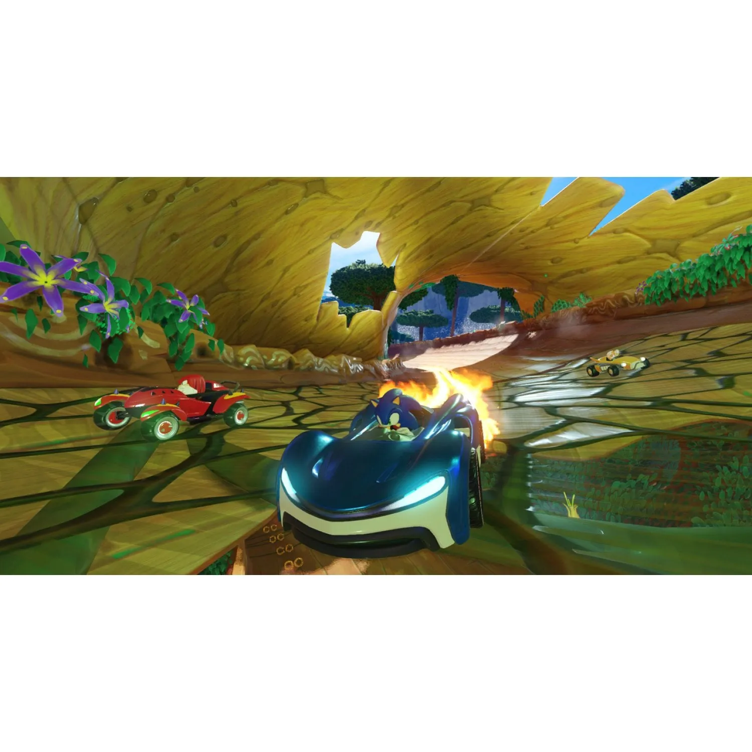 NSW Team Sonic Racing