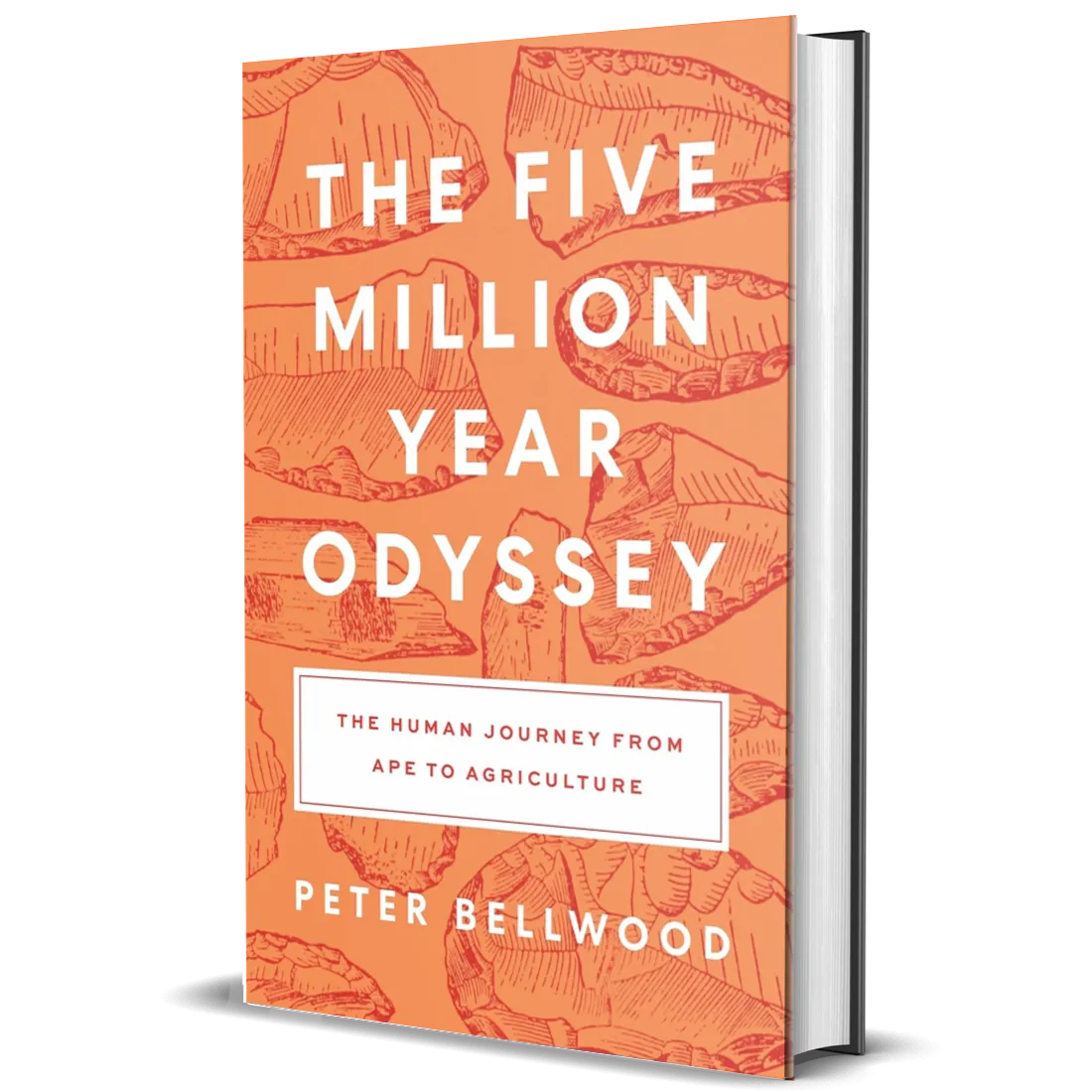 The Five-Million-Year Odyssey: The Human Journey from Ape to Agriculture