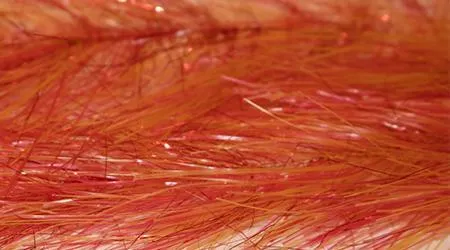 Translucy Fly Brush