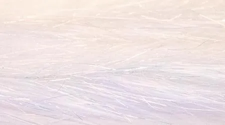 Translucy Fly Brush