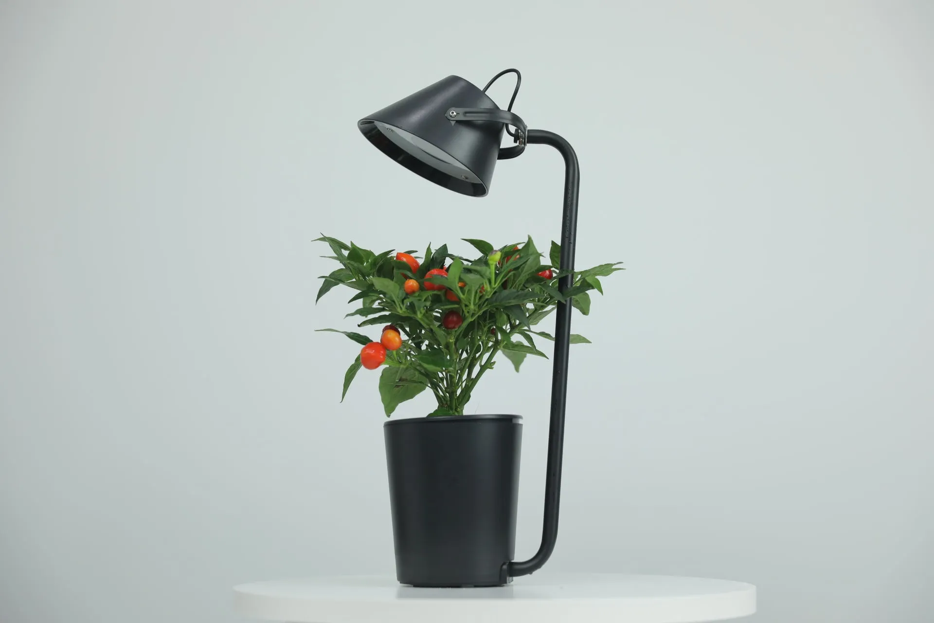 Urban Nano - Indoor Hydroponic Growing System Kit