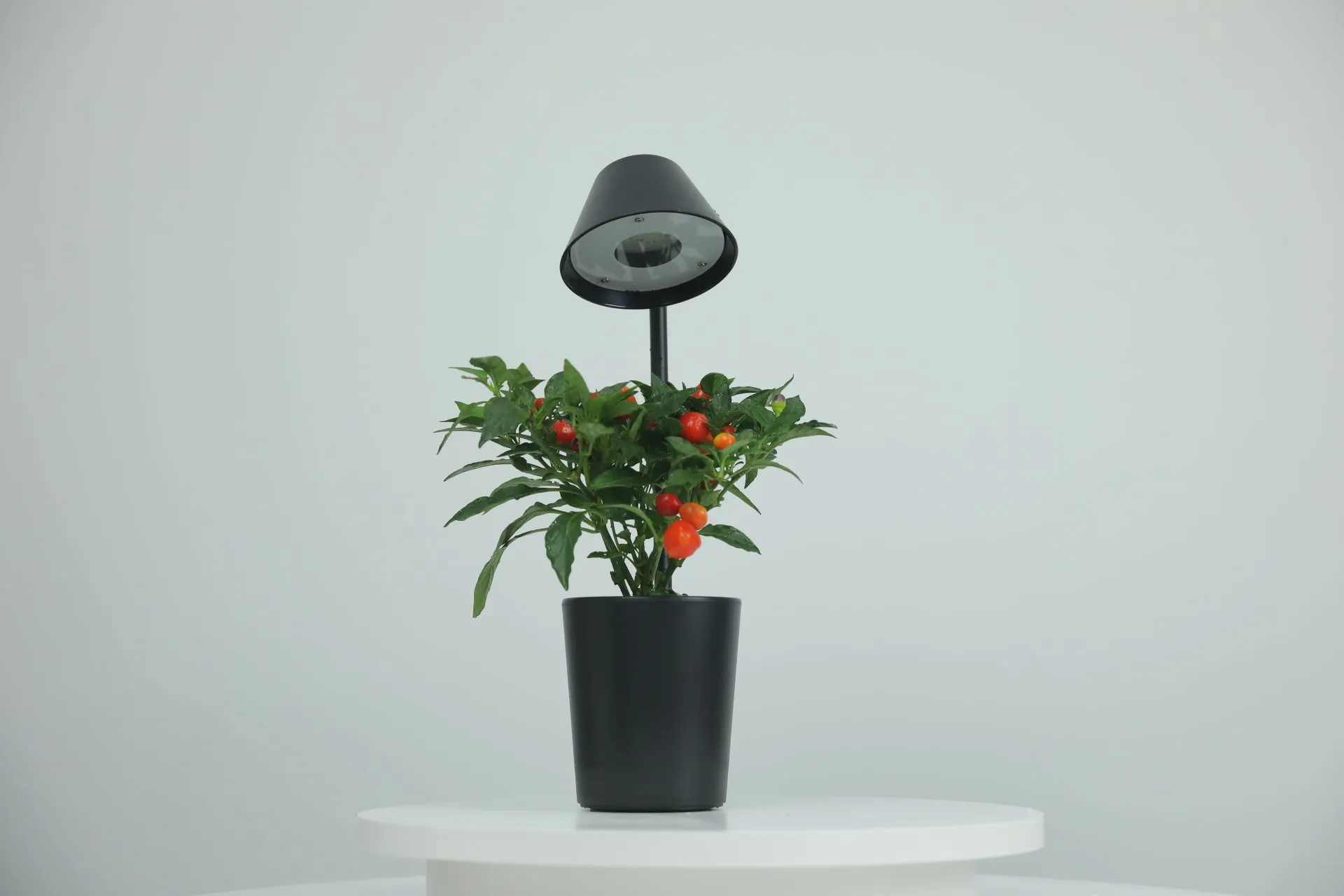 Urban Nano - Indoor Hydroponic Growing System Kit