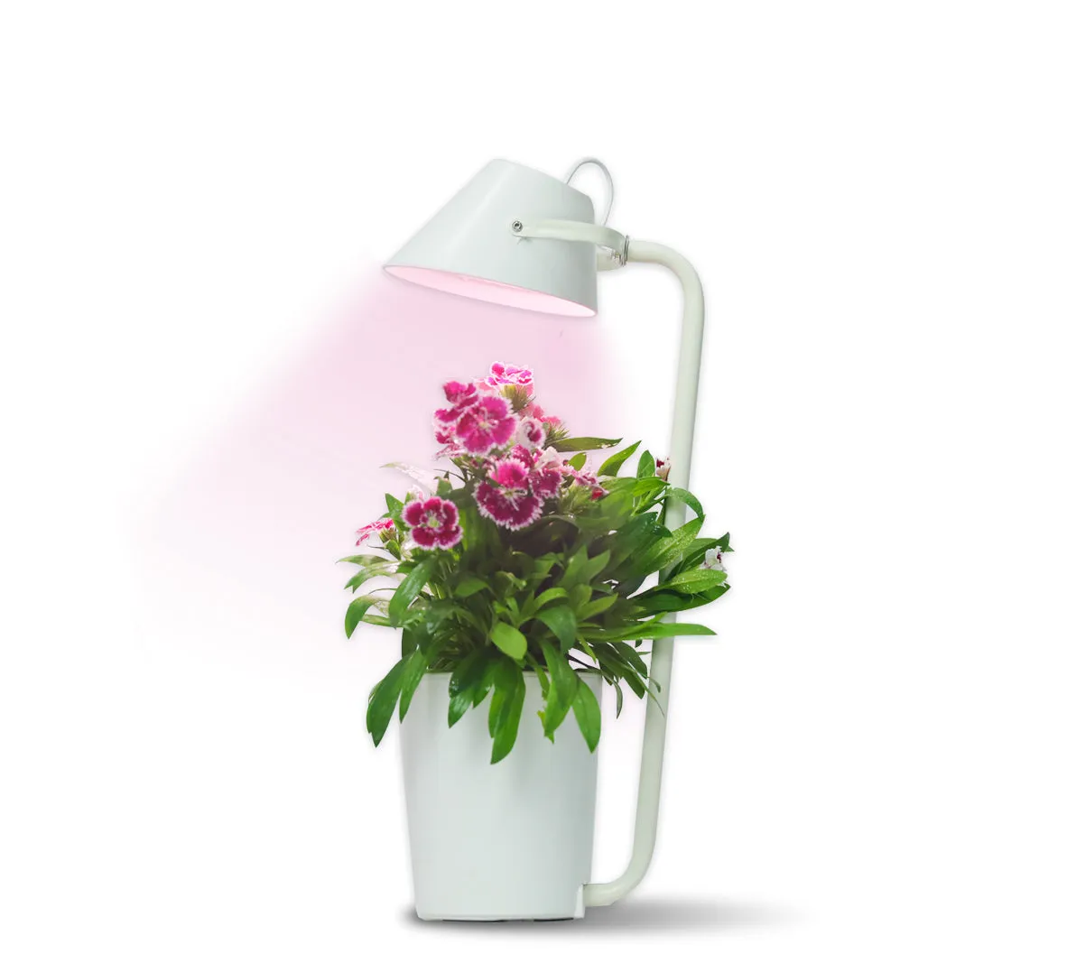 Urban Nano - Indoor Hydroponic Growing System Kit