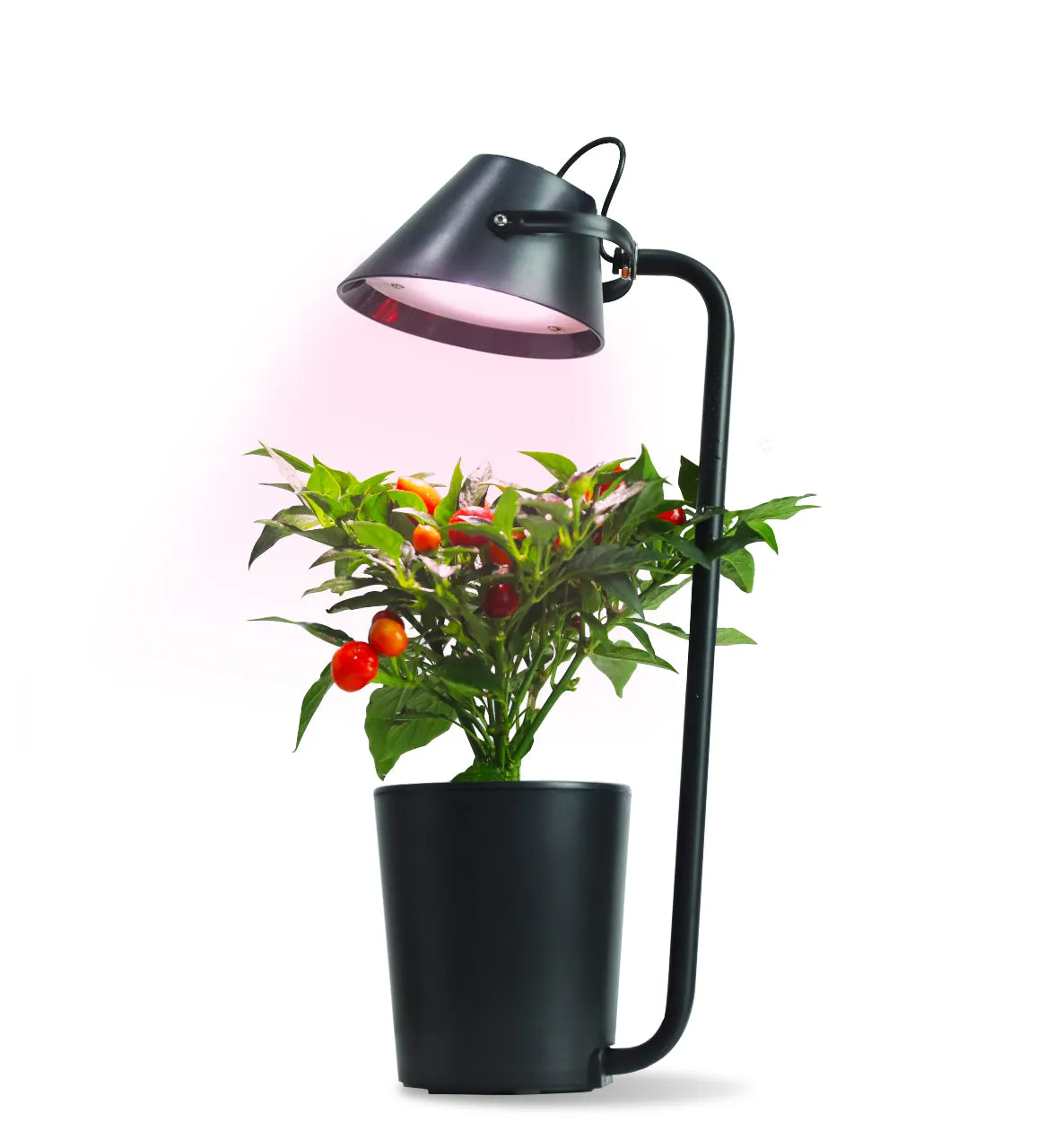 Urban Nano - Indoor Hydroponic Growing System Kit
