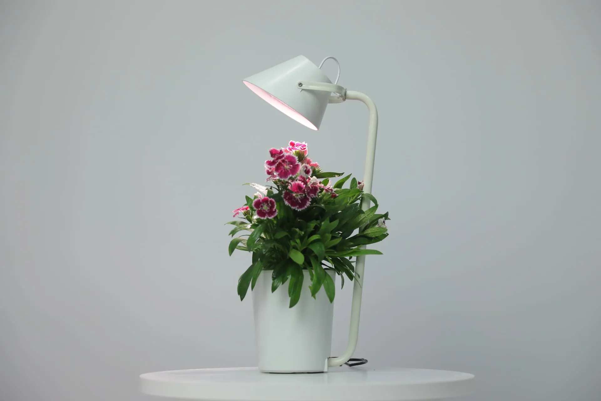 Urban Nano - Indoor Hydroponic Growing System Kit