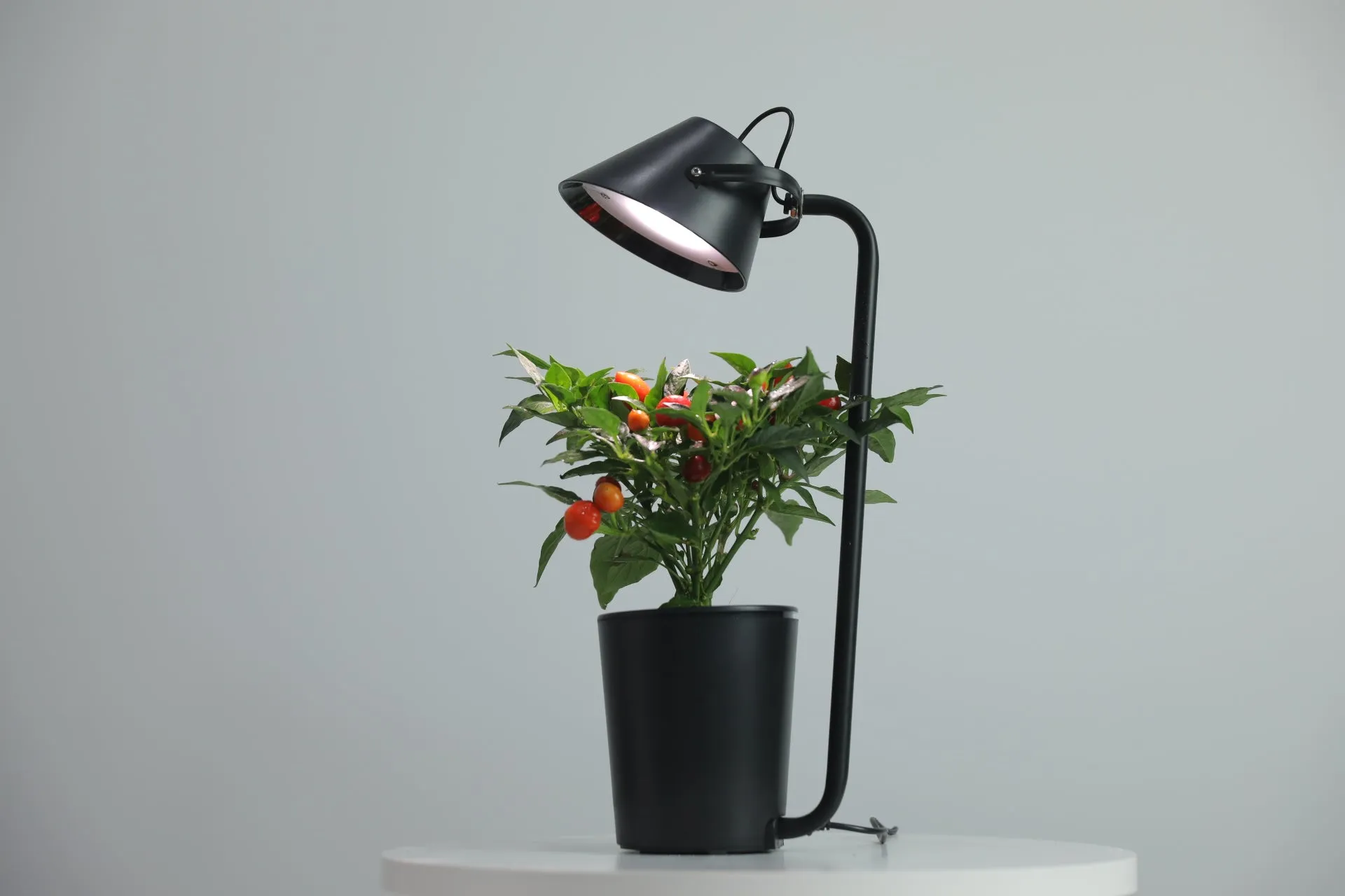 Urban Nano - Indoor Hydroponic Growing System Kit