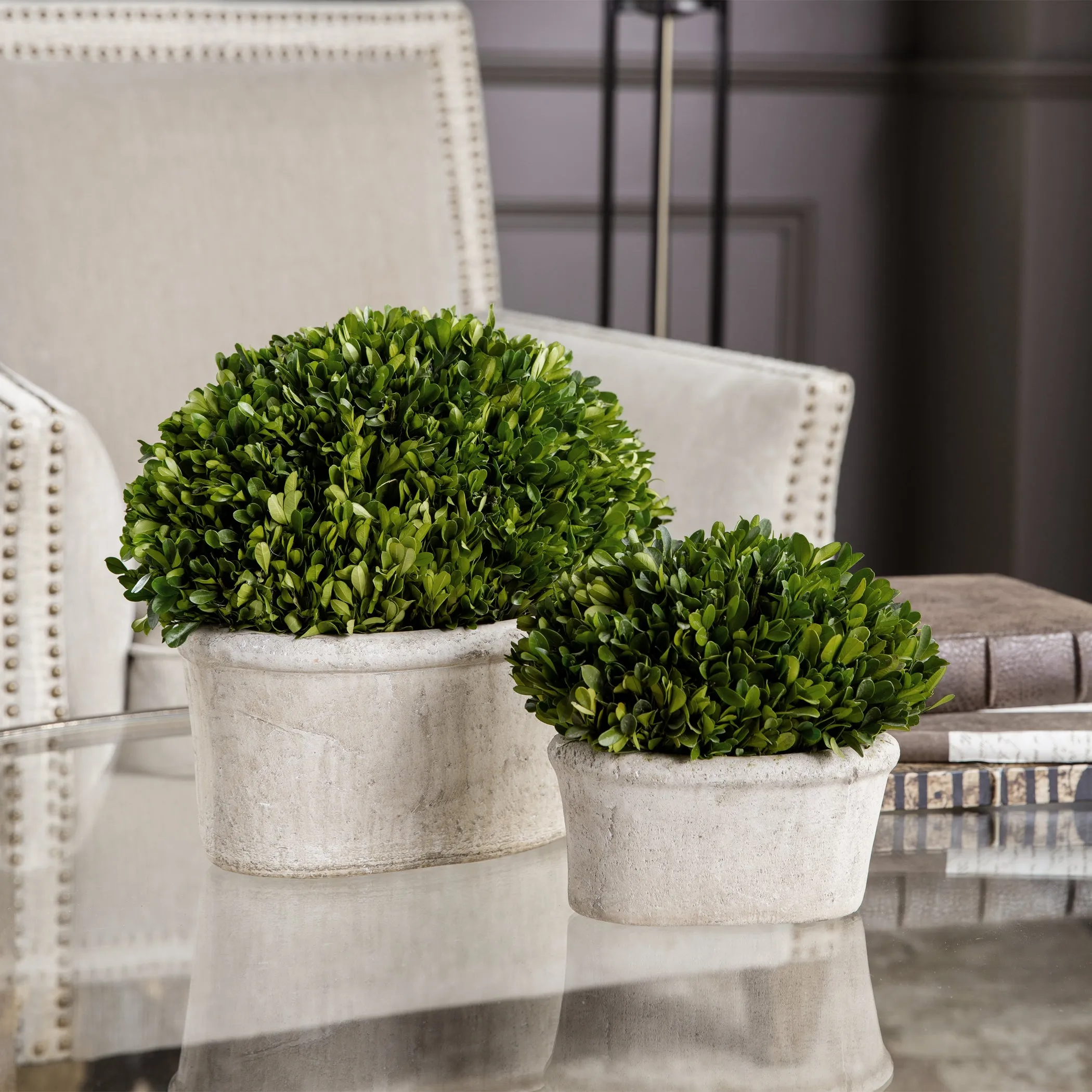 Uttermost Oval Domes Preserved Boxwood Set/2