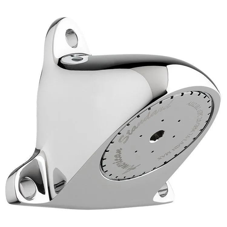 Wall-Mount Institutional Single-Function Shower Head