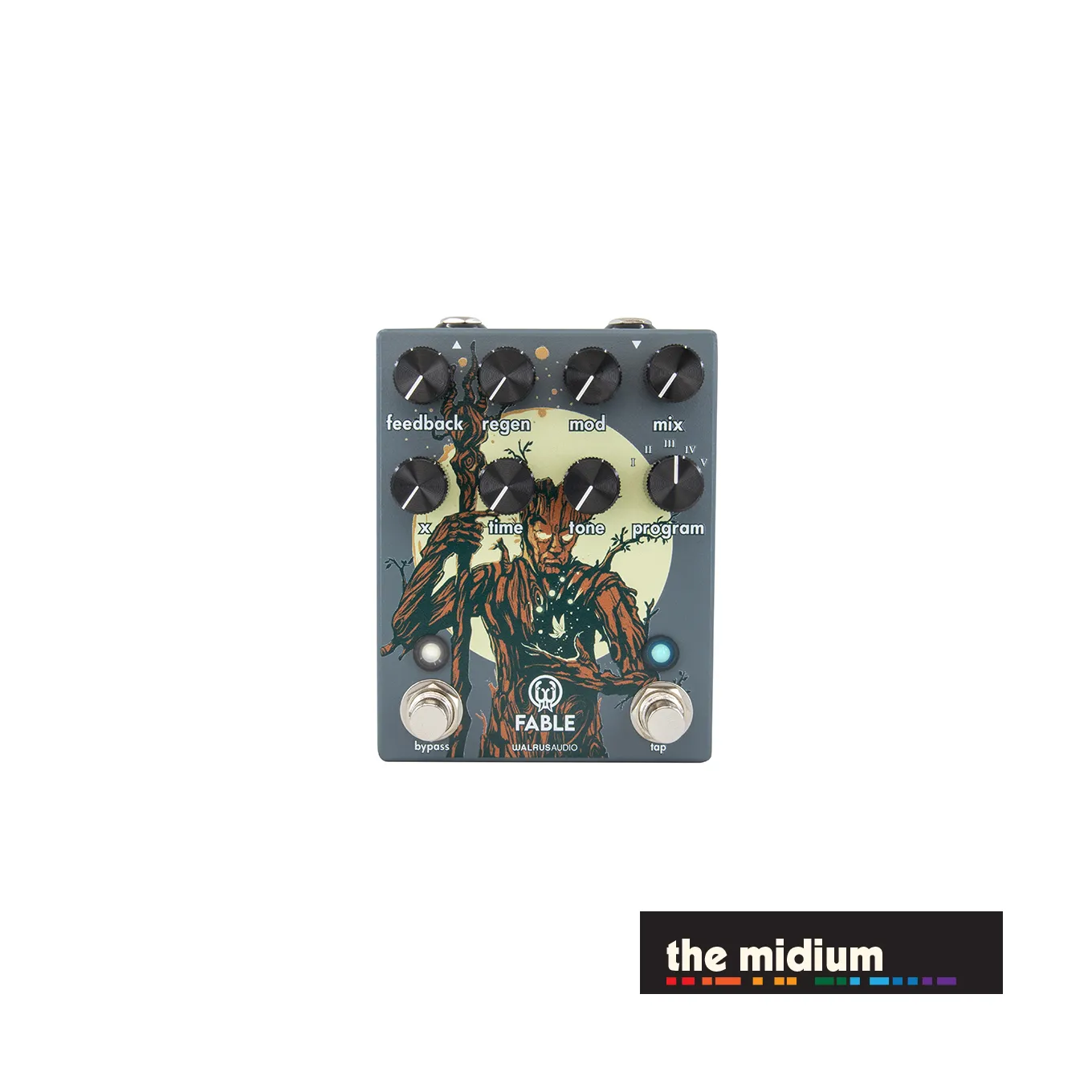 Walrus Audio Fable granular soundscape generator