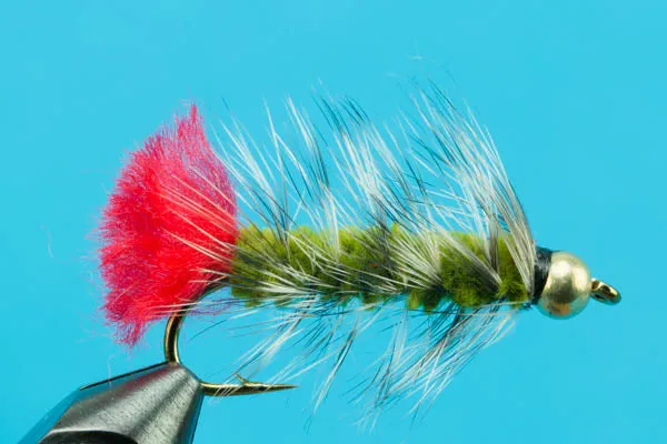 Woolly Worm-Beadhead